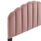 Modway - Veronique Performance Velvet Tête de lit jumelée, Rose poussiéreuse-Montage à hauteur ajustable