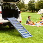 PawHut - Rampe de voiture pliable pour chien, rampe pour chien avec 10 marches antidérapantes - gris-Dispose d'un design unique à 10 marches, facilitant l'escalade pour votre chien  
