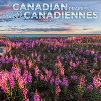 DateWorks - Calendrier Mural de 16 Mois 2025 les Prairies Canadiennes - 12 po x 12 po - Bilingue-Septembre 2024 - Décembre 2025