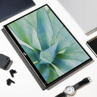 Mobile Pixels - Moniteur LCD Duex Float 2 Pro 16 po de classe WQXGA-33 % plus léger et 20 % plus fin que le modèle précédent
