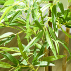 HOMCOM - Arbre de bambou artificiel 4 pi pour décoration intérieure de la maison - vert-Couleur : vert, noir 