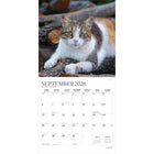 Plato - 2026 J'aime Les Chats Calendrier mural Suspendu Mensuel - 30,5 cm l x 61 cm H - Anglais-Grandes Pages de Jour Spacieuses - Tous les jours fériés les plus importants et les phases de la lune sont indiqués, avec beaucoup d'espace pour inscrire des notes et des rendez-vous