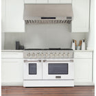 Kucht - 48 po Série KNG Cuisinière Pro Style au gaz propane - Acier inoxydable/Blanc-Grilles de cuisson robustes en fonte résistantes à la chaleur intense permettant de déplacer les ustensiles d’un brûleur à l’autre sans les soulever