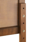 Modway - Sirocco Rotin et bois Lit plateforme Queen, Noyer-Capacité de poids : 794 lb.