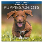 Mead - Calendrier décoratif Chiots 2027, 12 po x 12 po, bilingue-Met en valeur des photographies de chiots ludiques qui apportent chaleur et charme à tout espace