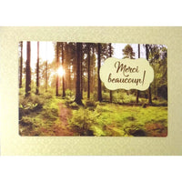 Mill Brook Studio - Cartes De Souhaits Merci 5-3/8 po x 7-3/4 po / Enveloppes - Paquet de 18 - Arbre-Cartes de souhaits qualité boutique