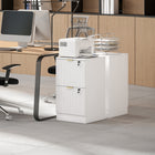 HOMCOM - Classeur vertical à 2 tiroirs rainurés pour documents lettre/A4 avec serrure - blanc-Façades de tiroirs cannelées avec poignées dorées pour un look moderne 
