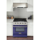 Kucht - 30 po Série KNG Cuisinière Pro Style au gaz naturel - Acier inoxydable/Bleu-Porte de four interchangeable disponible en neuf couleurs