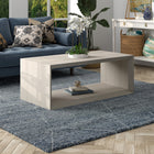 Hudson&Canal - Table basse rectangulaire Osmond 48" L - Blanc aulne-Finition en blanc aulne aspect bois