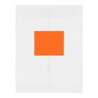 JAM Paper Étiquettes adresse pour le courrier, 4 x 3 1/3 po, orange cosmique Astrobright, 240/pqt-5