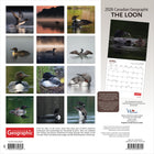 Wyman Publishing - 2026 Le Plongeon Huard Par Canadian Geographic Officiel Calendrier mural Suspendu Mensuel - 30,5 cm l x 61 cm H - Anglais-Conception Durable - Le papier robuste et de haute qualité empêche le froissage et le débordement de l'encre, et la reliure durable assure la longévité tout au long de l'année