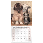 Mead - Calendrier décoratif Copains à pattes 2027, 12 po x 12 po, bilingue-Imprimé sur du papier de qualité pour une lisibilité durable toute l’année