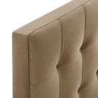 Modway - Lily Cuir végane Tête de lit taille jumelle, Taupe-Assemblée requise