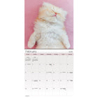 DateWorks - Mini Calendrier Mural 16 Mois des Chatons Câlins de 2025 - 7 po x 7 po - Anglais-13 images de haute qualité imprimées sur du papier Premium.