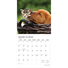 Plato - 2026 Chatons & Chiots Calendrier mural Suspendu Mensuel - 30,5 cm l x 61 cm H - Anglais-À Utiliser Tout de Suite - Calendrier de 16 mois, 12 pages de mois pleines et comprenant en prime les quatre derniers mois de l'année précédente avec une image supplémentaire