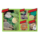 Yellow Door - Pierre d'enquête sur les insectes, lot de 8-Ces insectes sont durables pour une utilisation en extérieur et offrent aux enfants la possibilité d'en apprendre davantage sur les créatures vivantes qu'ils rencontreront dans la vie quotidienne sans qu'ils ne se précipitent ou ne s'envolent !