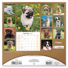 Mead - Calendrier décoratif Chiots 2027, 12 po x 12 po, bilingue-Présente des illustrations mensuelles en couleurs pour embellir les espaces