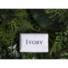 Ivory - Pains de savon, 90 g, Paquet de 10 unités-10 pains de savon par paquet