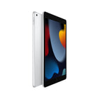 Apple -  iPad, écran Retina 10,2 po, Wi-Fi, puce A13 Bionic, 256 Go, iPadiOS 15, argent-A13 Bionic avec Neural Engine