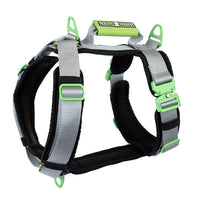 Healthy Harness - Harnais pour chien Ultimate Urban Premium - Argent - L-Conception anti-traction et anti-étranglement – ​​prévient les pressions néfastes sur le cou et la gorge de votre chien pour des promenades plus sûres et plus saines