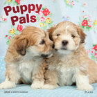 Plato - 2026 Copains Chiots Calendrier mural Suspendu Mensuel - 30,5 cm l x 61 cm H - Anglais-Photographie - Chaque mois, découvrez de superbes photographies ou œuvres d'art en couleur