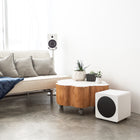 Kanto - Subwoofer de 8 po amplifié et scellé, 300 W - Blanc mat-Filtre passe-bas 40 Hz - 120 Hz