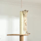 PawHut - Arbre à chat du sol au plafond 100 po avec 3 perchoirs - brun-Couleur : Marron 