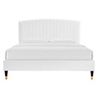 Modway Alessi Performance Velours Lit Plateforme Queen Avec Pieds en Bois et Manchons en Métal Doré - Blanc-Tête de lit touffée en canal