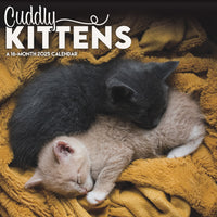 DateWorks - Calendrier Mural 16 Mois Chatons Câlins 2025 - 12 po x 12 po - Anglais-Septembre 2024 - Décembre 2025