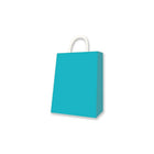 Sac en papier Kraft, moyen, bleu sarcelle, 12 sacs-Bleu sarcelle
