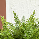 HOMCOM - Plantes artificielles décoratives 21,7 po pour la maison - vert - lot de 2-Matériau : PE, ciment 