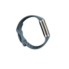 Fitbit - Charge 5 - Bleu acier/Platine-Jusqu'à 7 jours d'autonomie