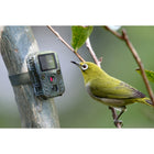 Technaxx - Mini Nature Wild Cam TX-117 FullHD 1080p - Camoflauge-Résolution vidéo FullHD 1080p 