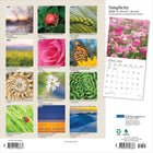 Plato - 2026 Simplicité Calendrier mural Suspendu Mensuel - 30,5 cm l x 61 cm H - Anglais-Conception Durable - Le papier robuste et de haute qualité empêche le froissage et le débordement de l'encre, et la reliure durable assure la longévité tout au long de l'année