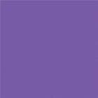 North American Paper Inc. - Papier de bricolage, violet, 9 po x 12 po, 48 feuilles-12 po x 9 po (portrait)