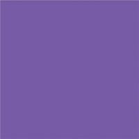 North American Paper Inc. - Papier de bricolage, violet, 9 po x 12 po, 48 feuilles-12 po x 9 po (portrait)