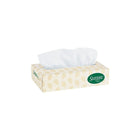 Surpass - 8" x 8.3" de tissu Facial, Blanc, 60 / Pack-Blanc