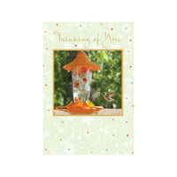 MILLBROOK - Carte de souhaits Enveloppes - 5-3/8 po L x 7-3/4 po H - Colibri - Paquet de 18-Cartes de qualite style boutique