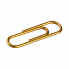 JAM PAPER - Colore norme 1" Trombones, Or, 2 Paquets de 100-Taille : 2,5 cm (Norme/regulier)