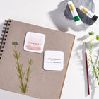 Avery - Cartes d'affaires carrées - 2-1/2 po l x 2-1/2 po L - blanc mat - paquet de 180-2-1/2 po l x 2-1/2 po L