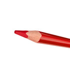 Staedtler, Crayons de couleur à double pointe assortis à corps triangulaire de 4 mm - ensemble de 24-Forme ergonomique facile à saisir
