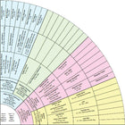 Individual Software - Logiciel Family Tree Heritage Gold 16, anglais [téléchargement]-Family Tree Heritage Gold fournit les outils nécessaires à un voyage étonnant pour construire l'histoire unique de votre famille et raconter votre histoire.