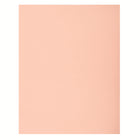 North American Paper - Carton bristol 4 épaisseurs, 22 po x 28 po, 48 feuilles, rose-22 po x 28 po