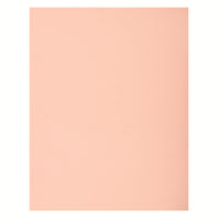 North American Paper - Carton bristol 4 épaisseurs, 22 po x 28 po, 48 feuilles, rose-22 po x 28 po