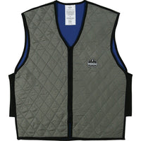 Ergodyne - Gilet de refroidissement par évaporation Chill-Its 6665-Grand (Adapte À La Taille De La Poitrine: 36-38 pouces)