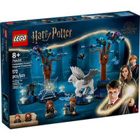 LEGO - Harry Potter Forêt Interdite : Créatures Magiques - 172 Pièces-Inclut 2 figurines, plus Buckbeak, un Sombral et un Pixie de Cornouailles