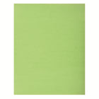 North American Paper - Carton bristol 4 épaisseurs, 22 po x 28 po, 48 feuilles, vert émeraude-22 po x 28 po