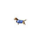 TechNiche – Manteau rafraîchissant pour chien Hyperkewl, bleu, moyen (8529 RB M)-Se fixe par une attache au niveau du ventre et du poitrail. Souple au niveau des épaules, il permet à votre chien de bouger sans gêne