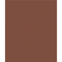 North American Paper Inc. - Papier de bricolage, brun foncé, 9 po x 12 po, 48 feuilles-12 po x 9 po (portrait)