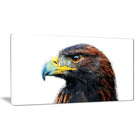 Designart – Imprimé sur toile, aigle royal, 5 panneaux, (PT2311-40-20)-Impression